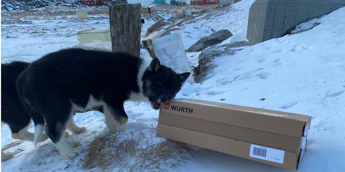 Schlittenhunde mit Würth-Paket